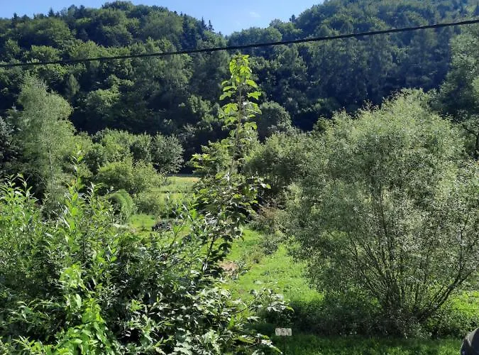 Ojców, Na Widoku * Ojcow